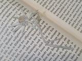 Lebenstanz 1940 Book with Edelweiss Inside