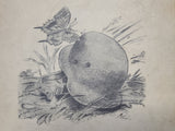 Befehl ist Befehl (An Order is an Order) 1941 Book