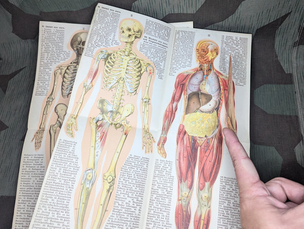 Be Healthy Stay Healthy German Book