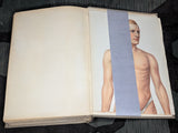 Be Healthy Stay Healthy German Book