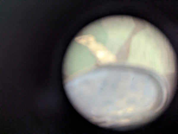 Dienstglas 6X30 with Bakelite Case