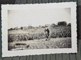 15 Wehrmacht Photos Army Folding Table, Folding Chair Etc...