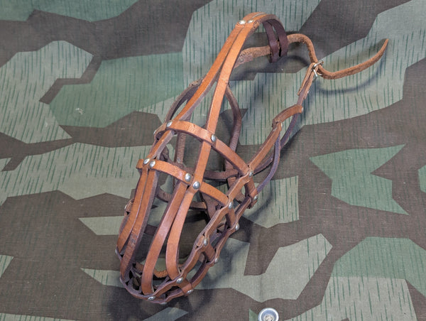 German Leather Dog Muzzle and Collar