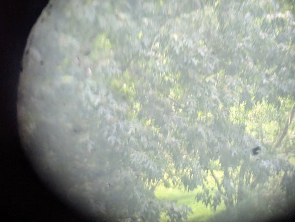 Dienstglas Paris Made Modified into Monocular with Pouch