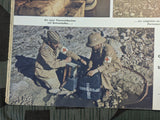 1 July 1942 Signal in German No. 13 (Afrika Korps, Soumi)