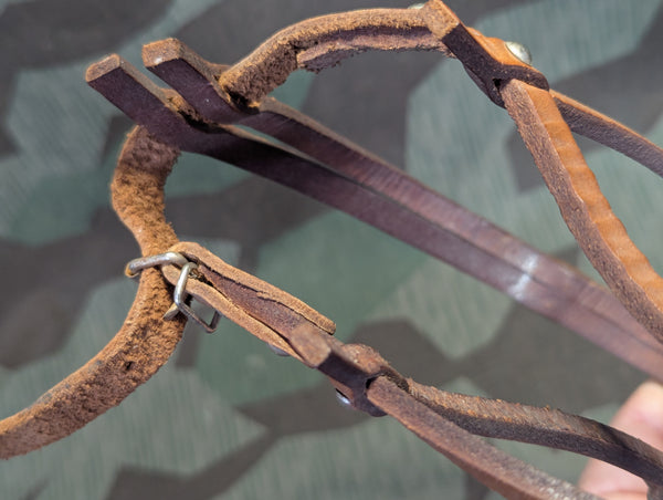 German Leather Dog Muzzle and Collar