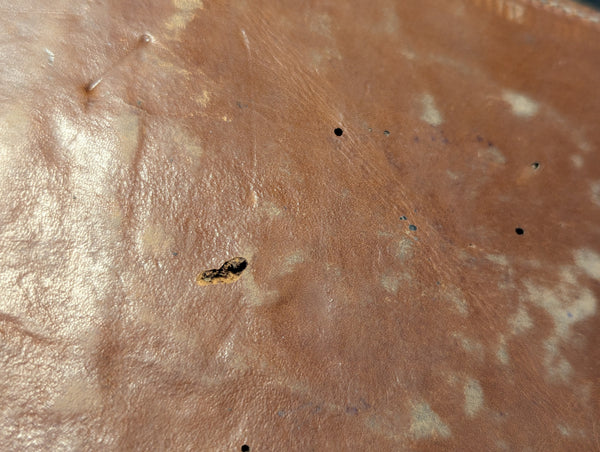 Leather Pencil Holder