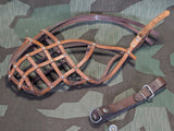 German Leather Dog Muzzle and Collar