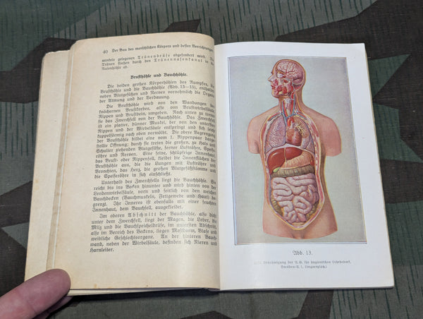 DRK Book for Female Personnel 1935
