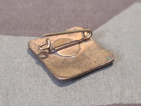 Evangelische Frauenhilfe Pin