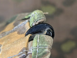 Original SS Oak "A" Helmet Cover 2nd Pattern