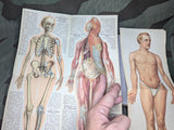 Be Healthy Stay Healthy German Book