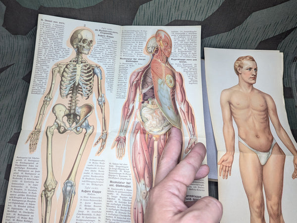Be Healthy Stay Healthy German Book