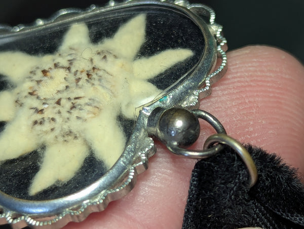 Edelweiss Heart Shaped Velvet Necklace (Black Background)