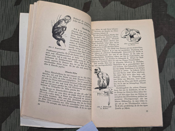 Stammesgeschichte der Menschheit (Evolutionary History of Mankind) 1941 Book
