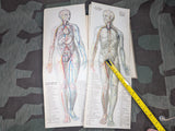 Be Healthy Stay Healthy German Book