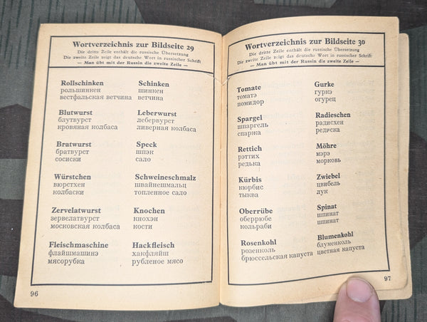 Original German-Russian Dictionary w/ Pictures