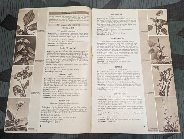 Wildgemüse - Wildkraüter Book Deutschen Frauenwerk