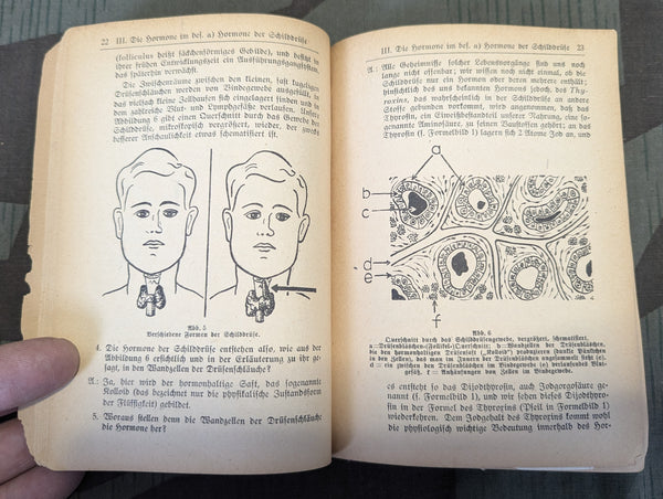 1944 Book on Hormones Effect on The Human Body