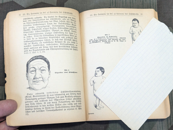 1944 Book on Hormones Effect on The Human Body