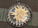 German Edelweiss Pressed Flower Necklace