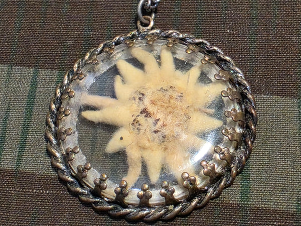 German Edelweiss Pressed Flower Necklace
