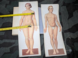 Be Healthy Stay Healthy German Book