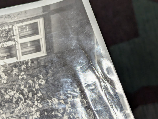 Large Format Photo Party Members and Veterans?