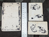 Lot Of 3 Original Photos Vehicles & Folding Stool