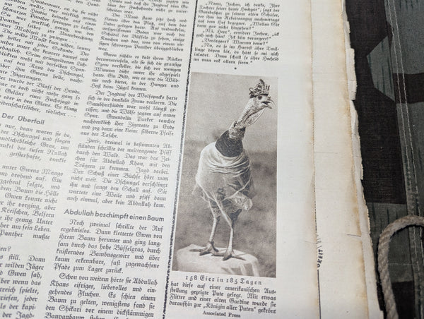 Kölnische Illustrierte Zeitung 2 Februar 1939