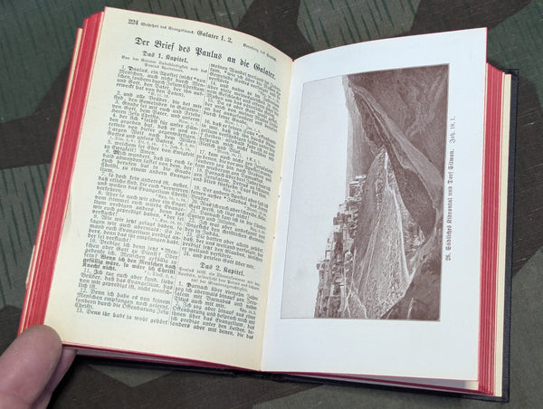 1941 German Evangelical Bible with Pictures