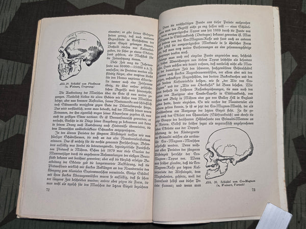Stammesgeschichte der Menschheit (Evolutionary History of Mankind) 1941 Book