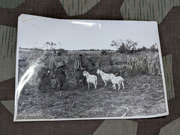 Original Photo German Heavy MG Crew Being Greeted by Locals