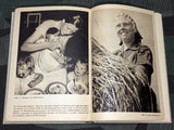 Spaten und Ähre Youth Arbeitsdienst Book 1939
