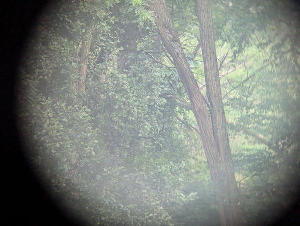 German 6x30 Binoculars Unmarked