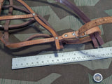 German Leather Dog Muzzle and Collar