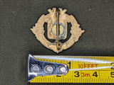 Epinal France Souvenir Pin
