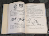 DRK Erste Hilfe First Aid Book (AS-IS)