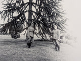 Photo of German Soldiers With Tree