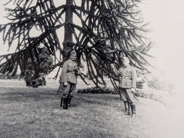 Photo of German Soldiers With Tree
