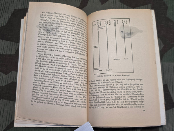 Stammesgeschichte der Menschheit (Evolutionary History of Mankind) 1941 Book