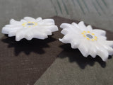 Edelweiss Pin