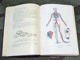 Training Manual for Medics H.Dv.59 1939