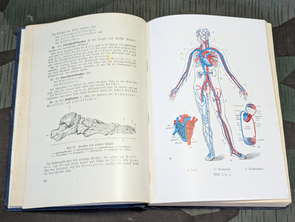 Training Manual for Medics H.Dv.59 1939