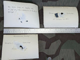 Lot of 3 Photos with Damage Nice Mercedes Car