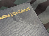 1941 German Evangelical Bible with Pictures