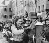 Bundle of Anschluss Artificial Flowers