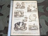 Kölnische Illustrierte Zeitung 25 June 1942 Nr26