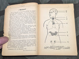 1944 Book on Hormones Effect on The Human Body