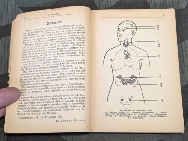 1944 Book on Hormones Effect on The Human Body